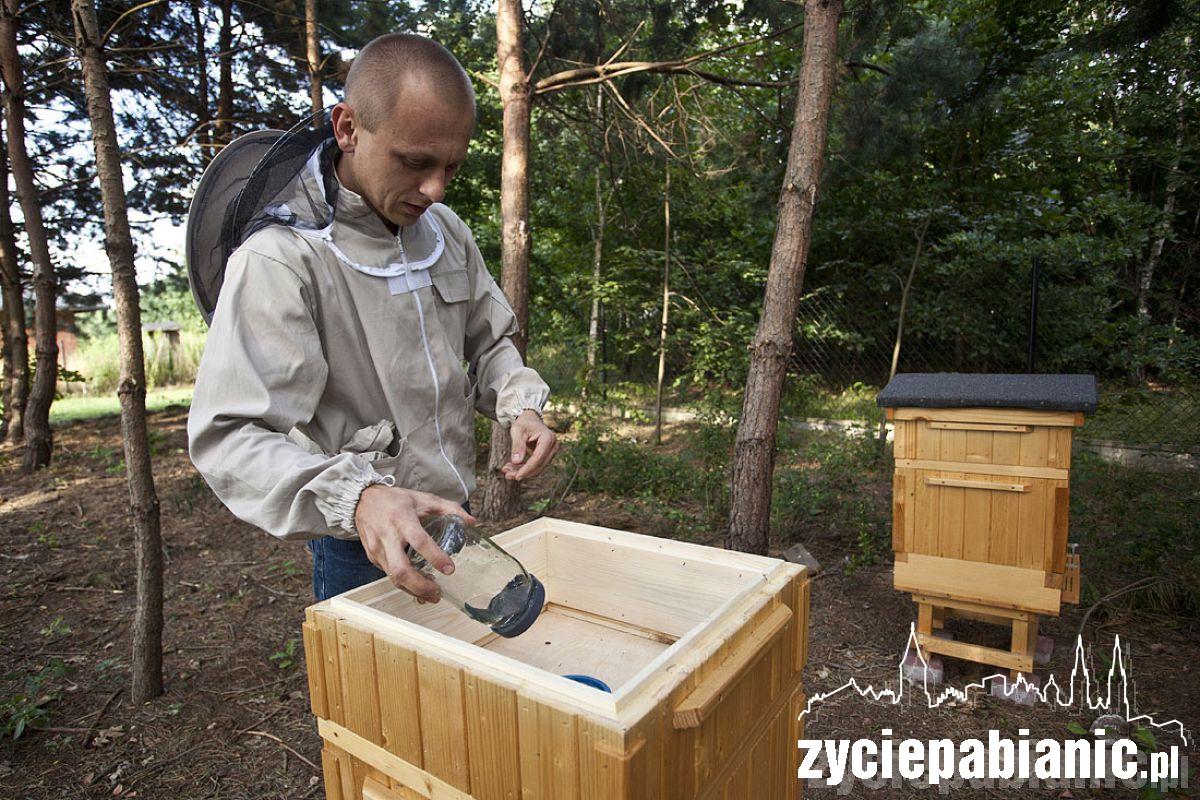 8 sierpnia Wielki Dzień Pszczół