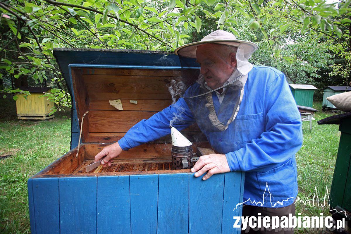 8 sierpnia Wielki Dzień Pszczół