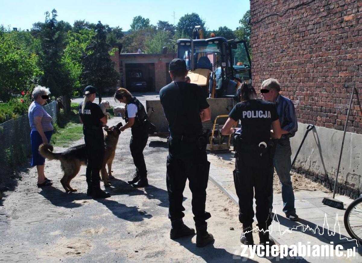 Wreszcie odkarmione i szczęśliwe, ale...