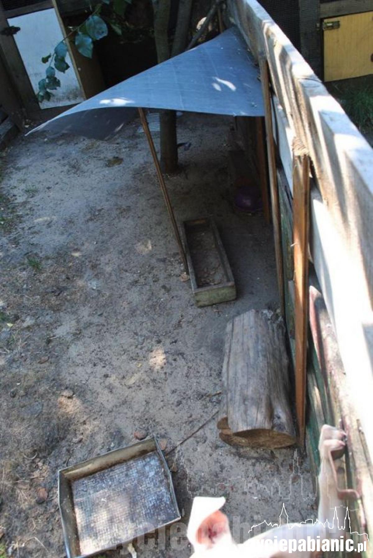 Wreszcie odkarmione i szczęśliwe, ale...