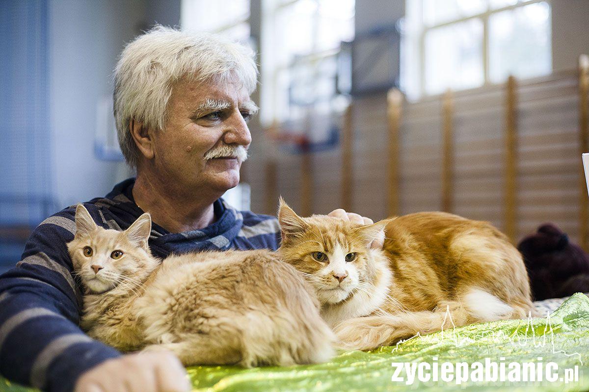 Wystawa rasowych kotów