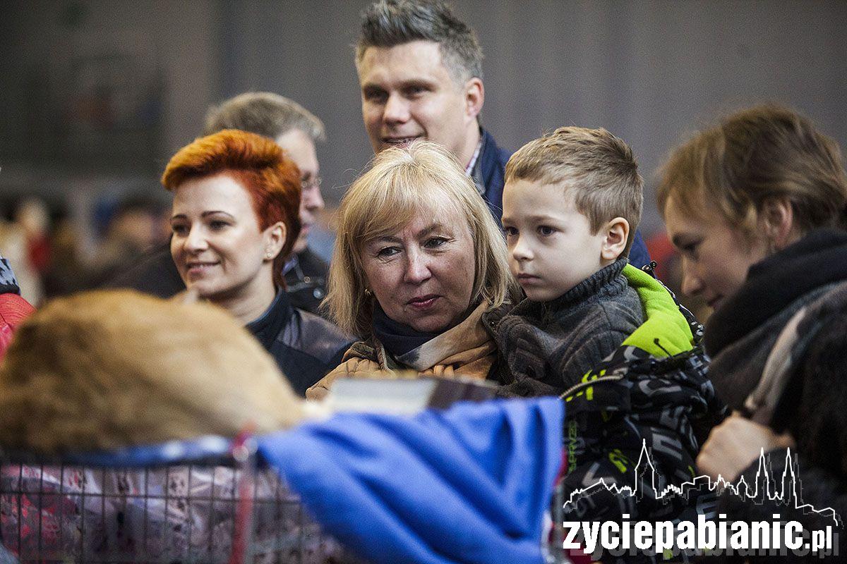 Wystawa rasowych kotów