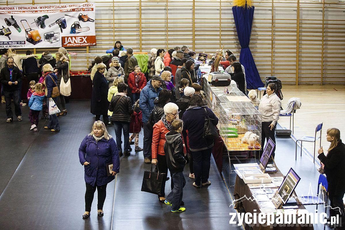 Wystawa rasowych kotów