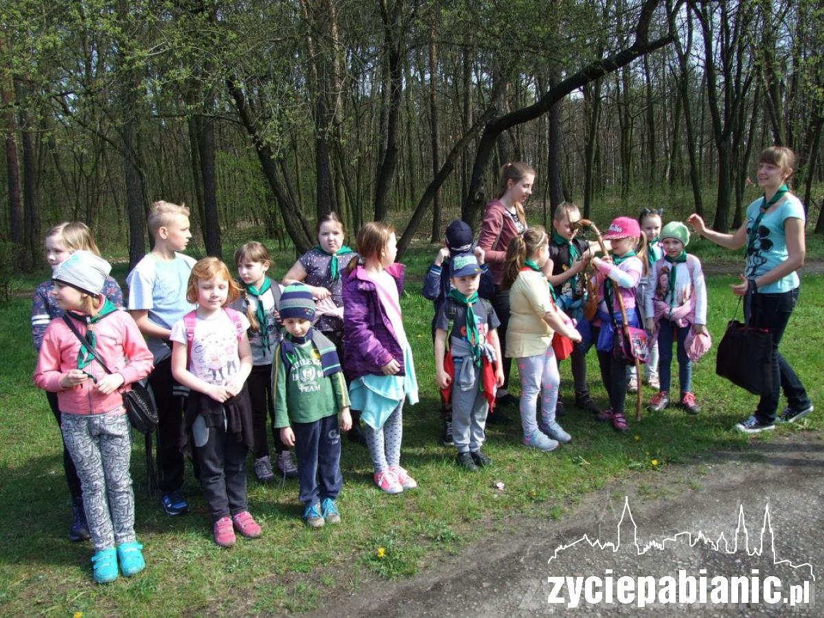 Zuchy na rajdzie