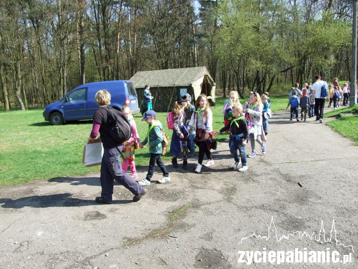 Zuchy na rajdzie