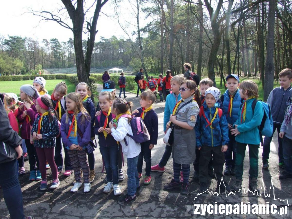 Zuchy na rajdzie