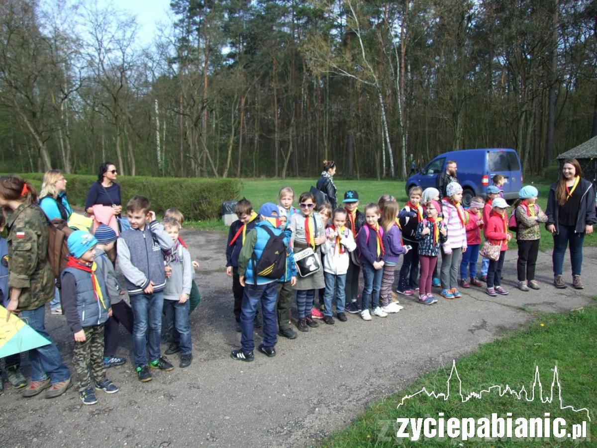 Zuchy na rajdzie