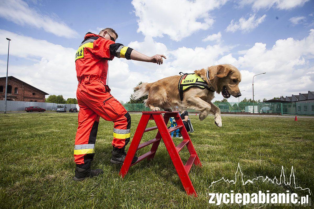 Firefighter Combat Challange