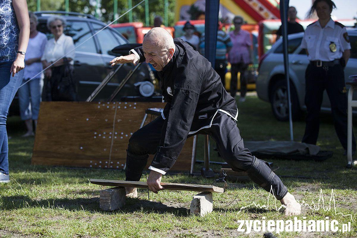 Dni Pabianic 2016