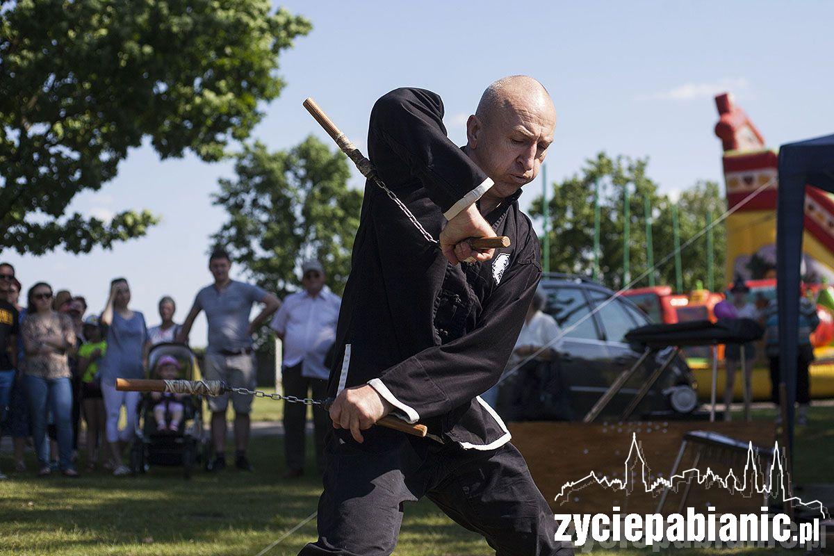 Dni Pabianic 2016