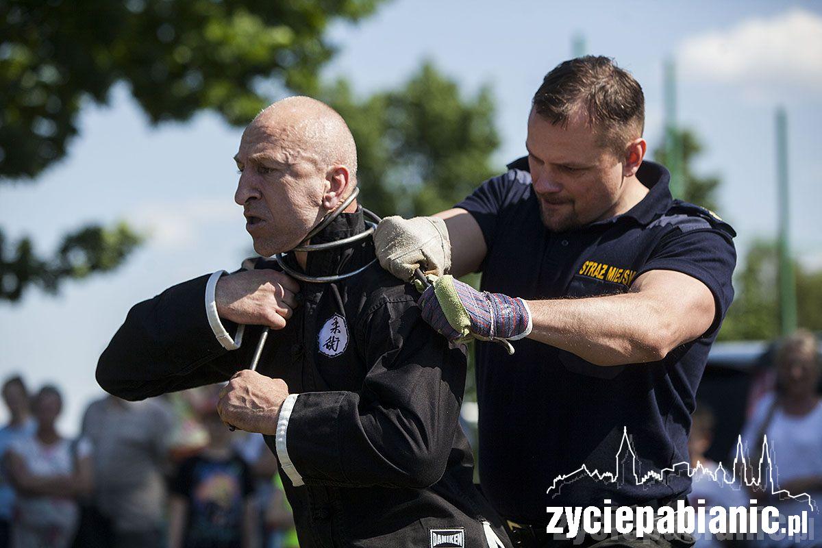Dni Pabianic 2016