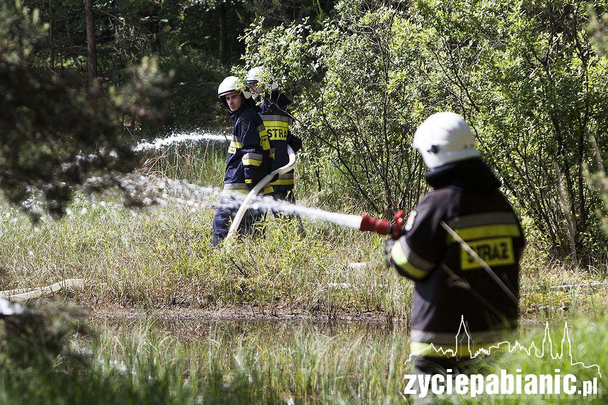 Manewry strażackie