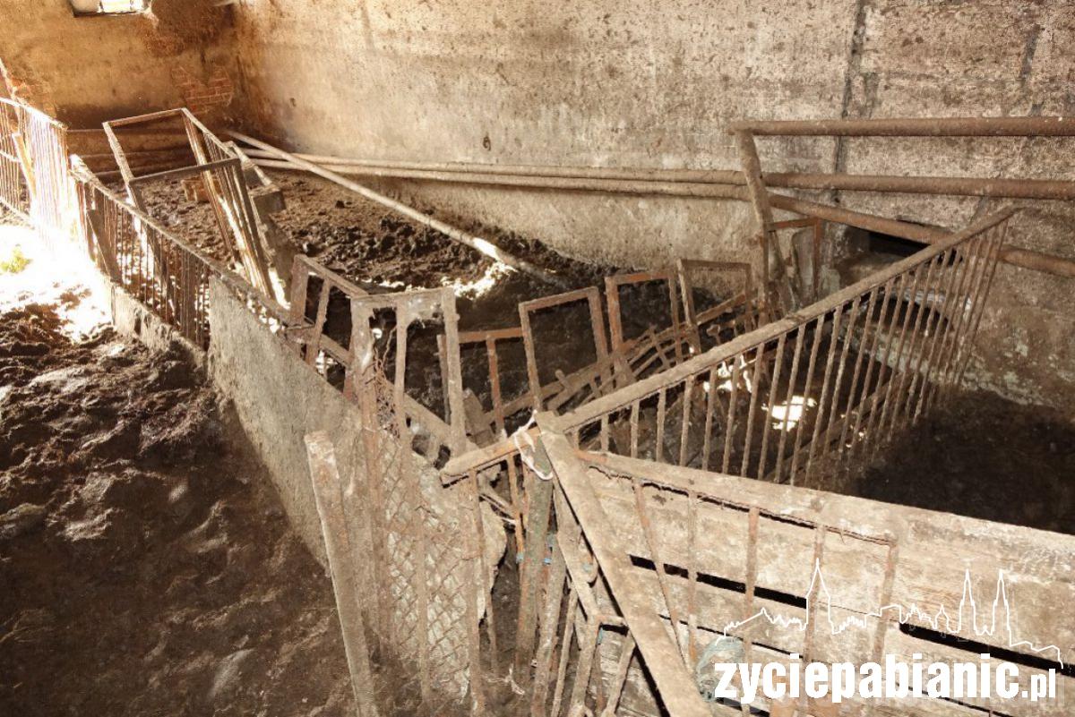 Interwencja Pogotowia dla zwierząt