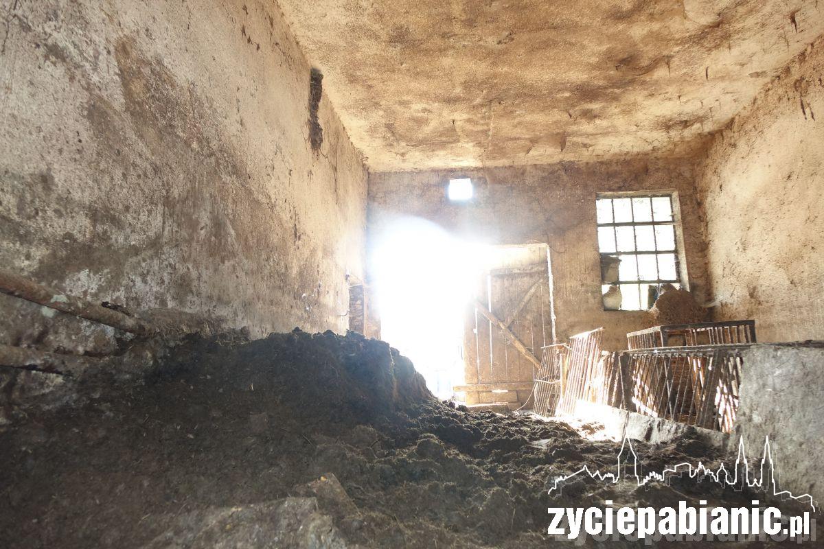 Interwencja Pogotowia dla zwierząt