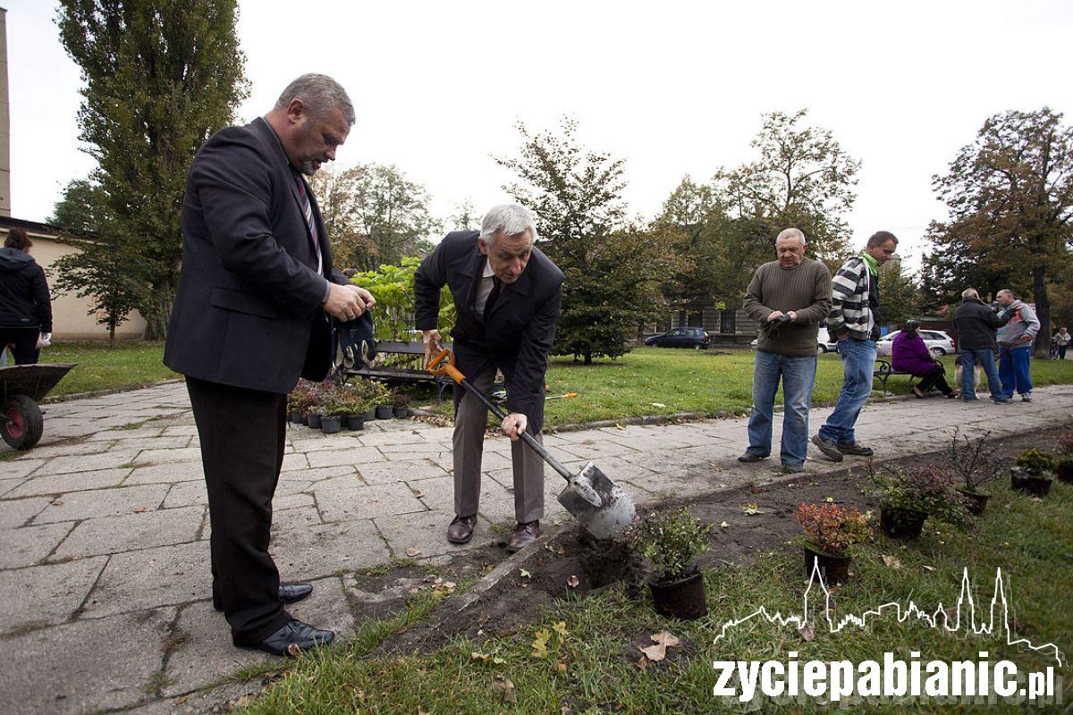 Sadzenie drzew na skwerku przy ul. Kościuszki