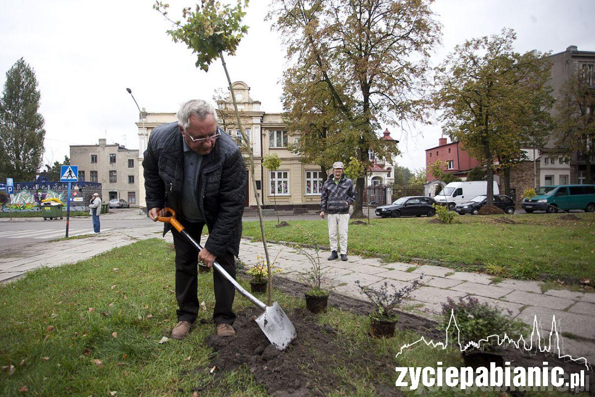 Sadzenie drzew na skwerku przy ul. Kościuszki