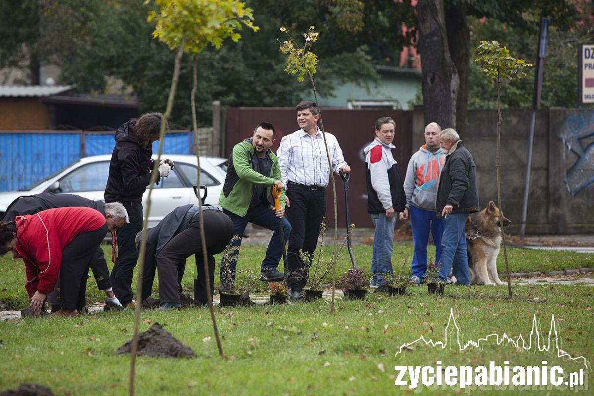 Sadzenie drzew na skwerku przy ul. Kościuszki
