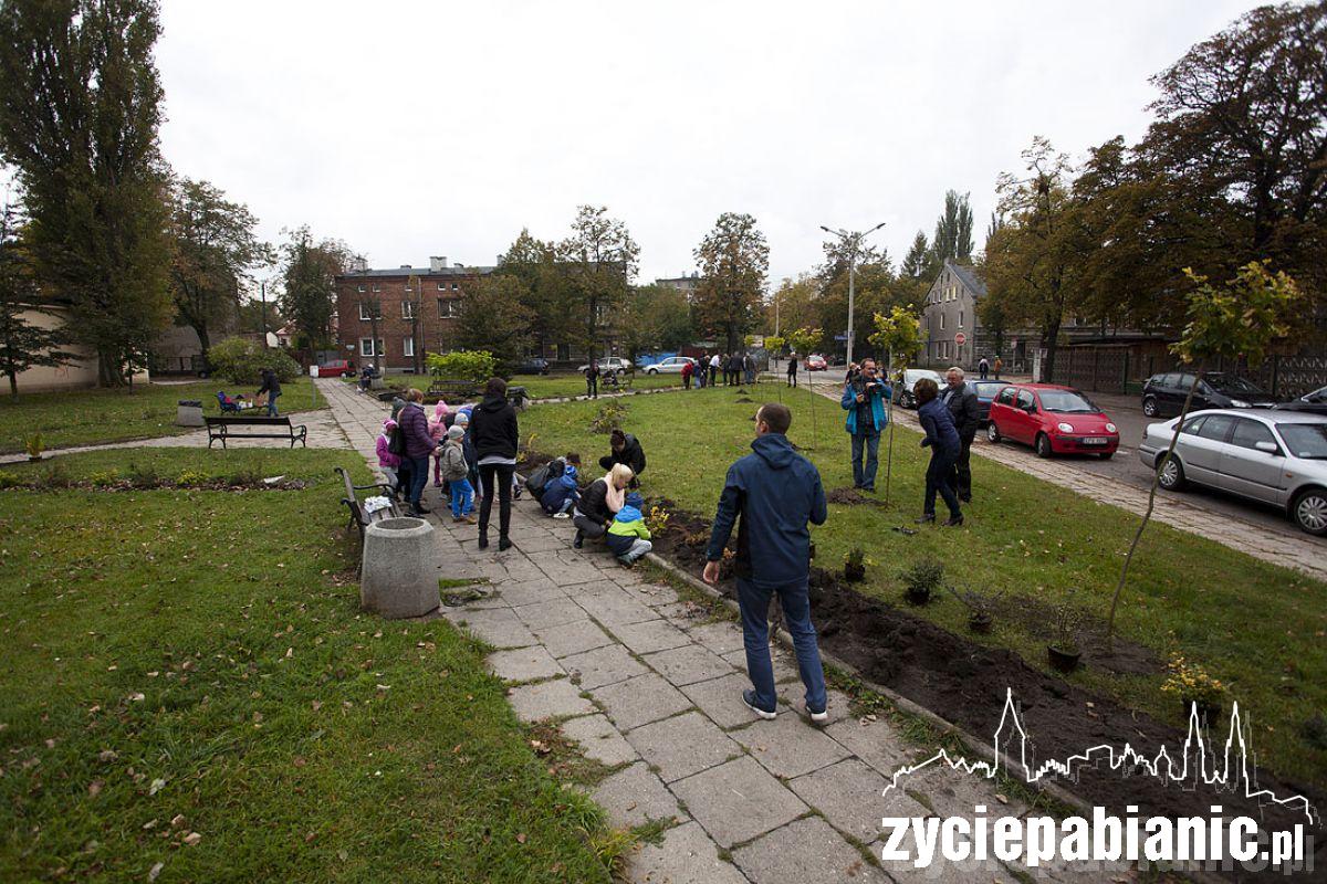 Sadzenie drzew na skwerku przy ul. Kościuszki