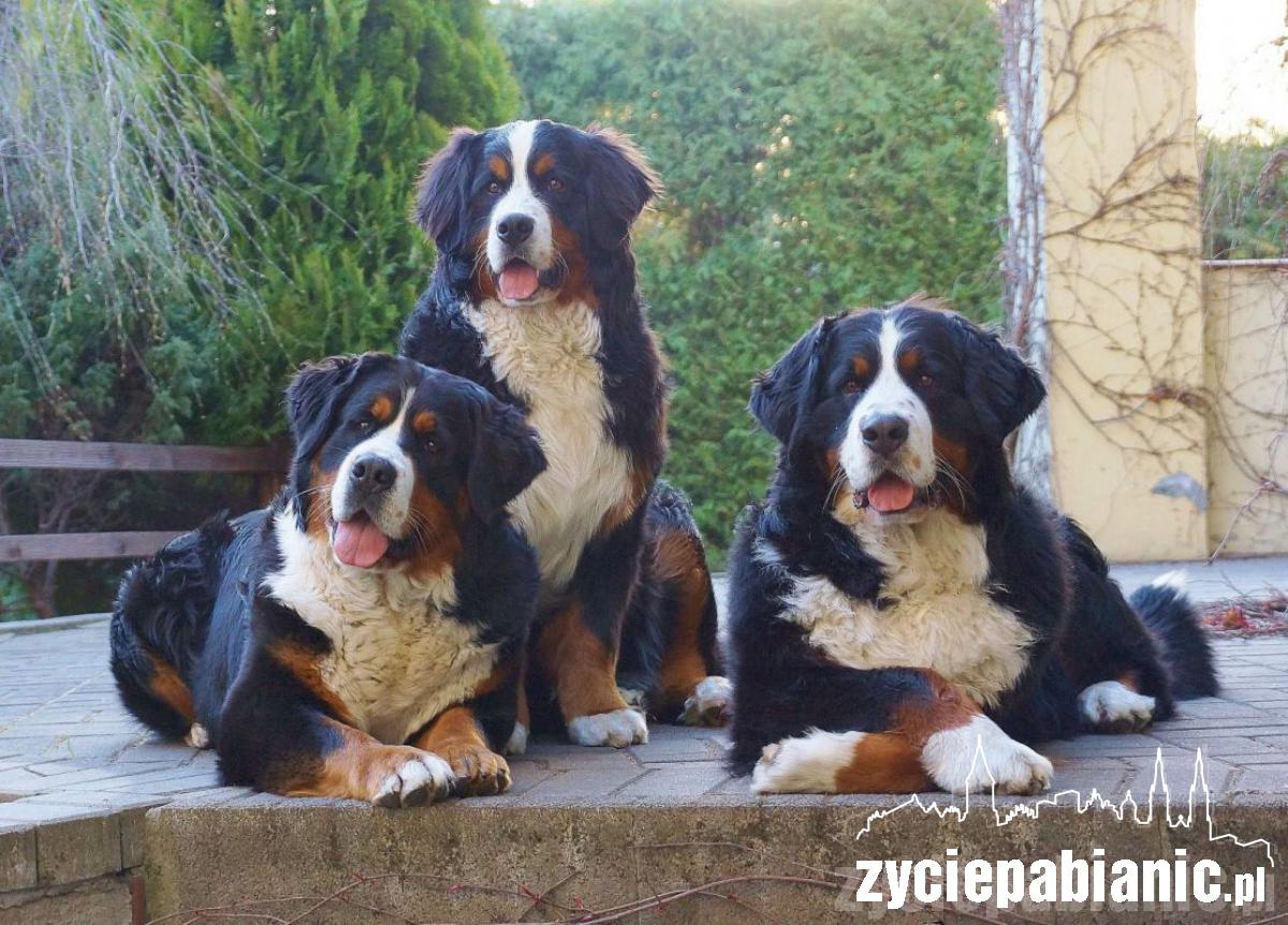 Pod koniec listopada mamą została Arin Melle Dulcior