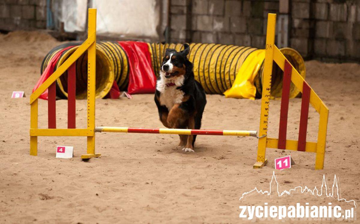 Pod koniec listopada mamą została Arin Melle Dulcior