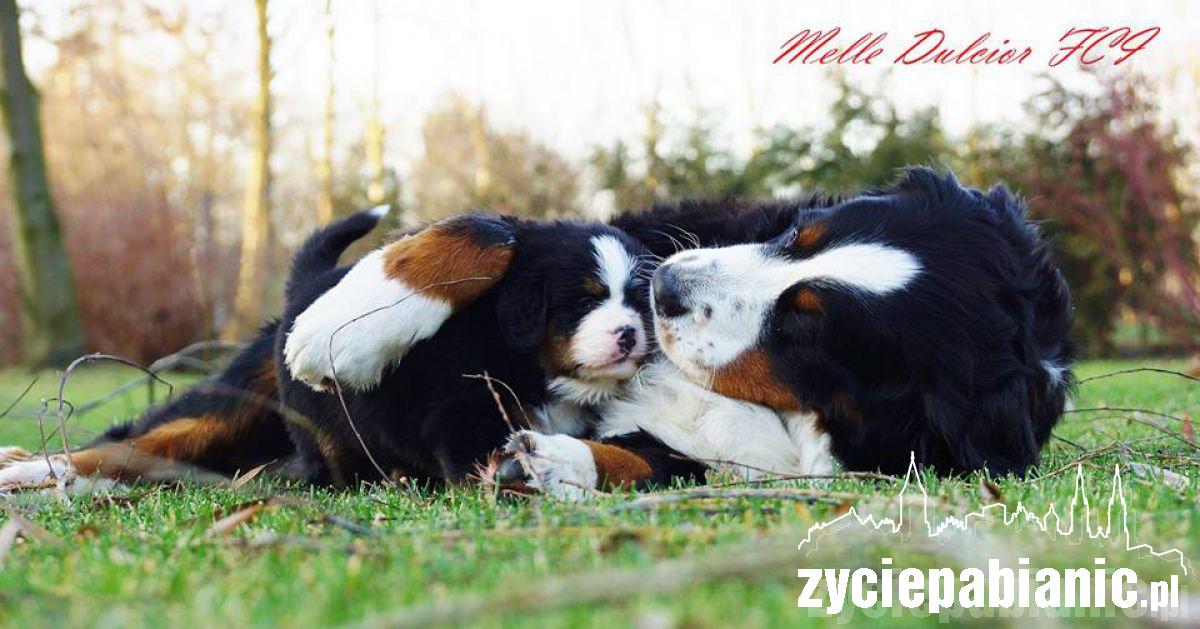 Pod koniec listopada mamą została Arin Melle Dulcior