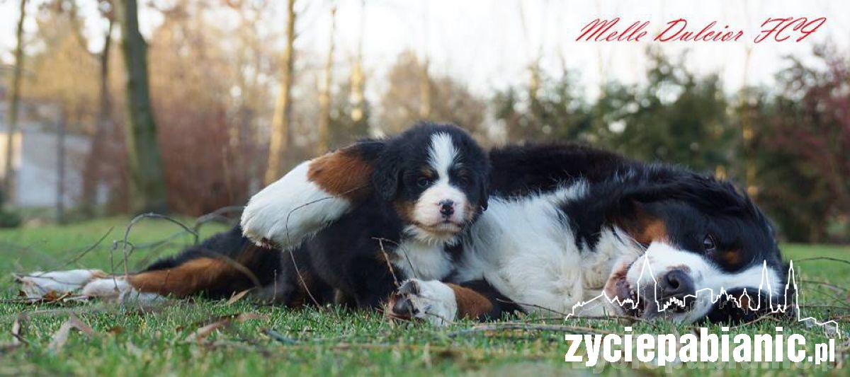 Pod koniec listopada mamą została Arin Melle Dulcior