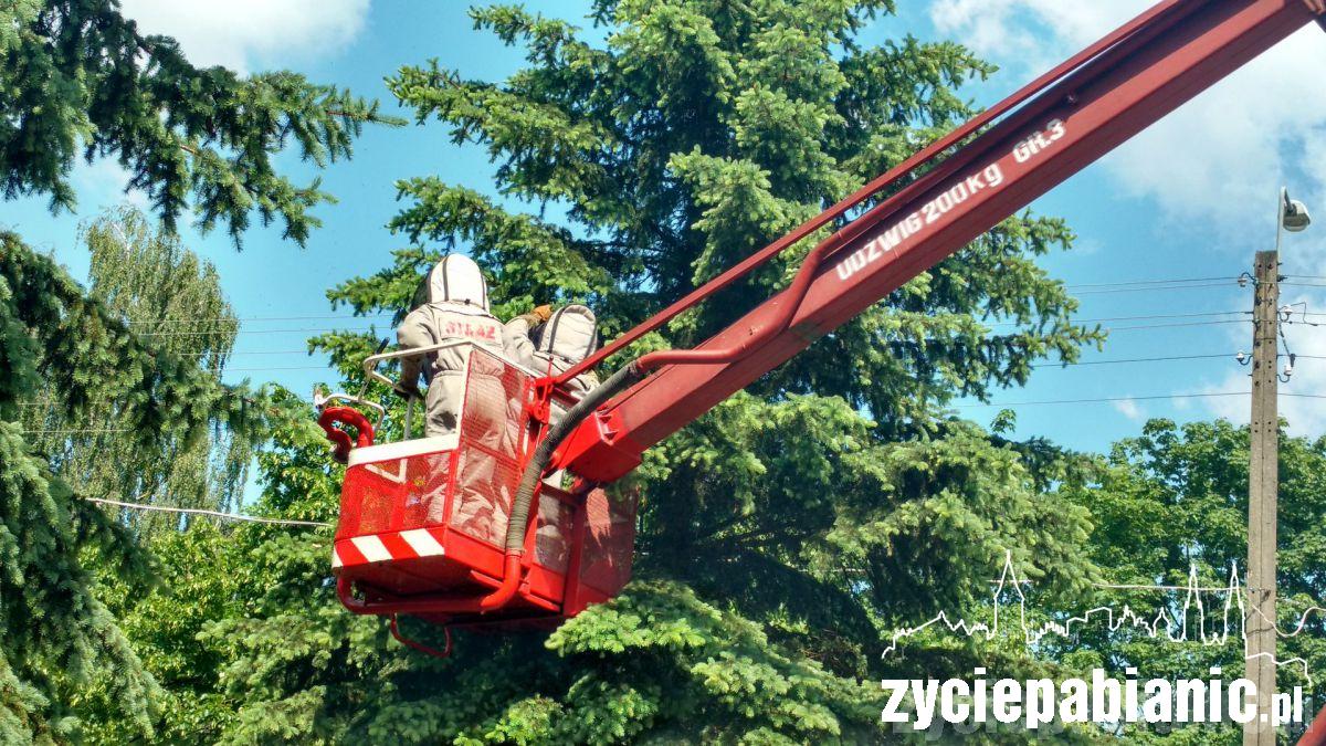 Uratowali ponad 81 mln zł