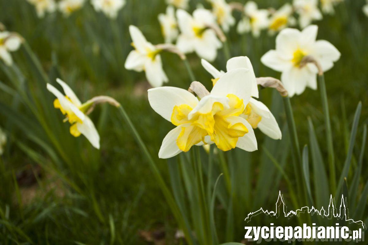 Zawitała do nas wiosna