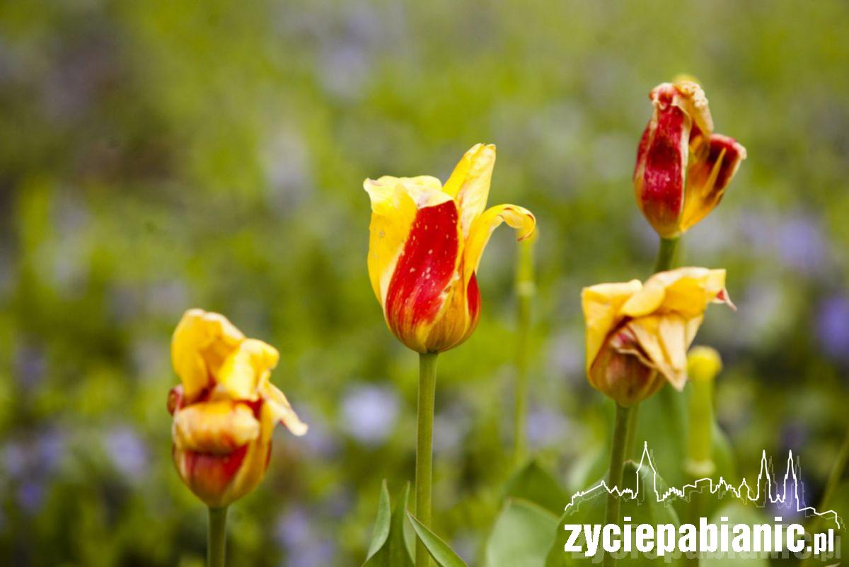 Zawitała do nas wiosna