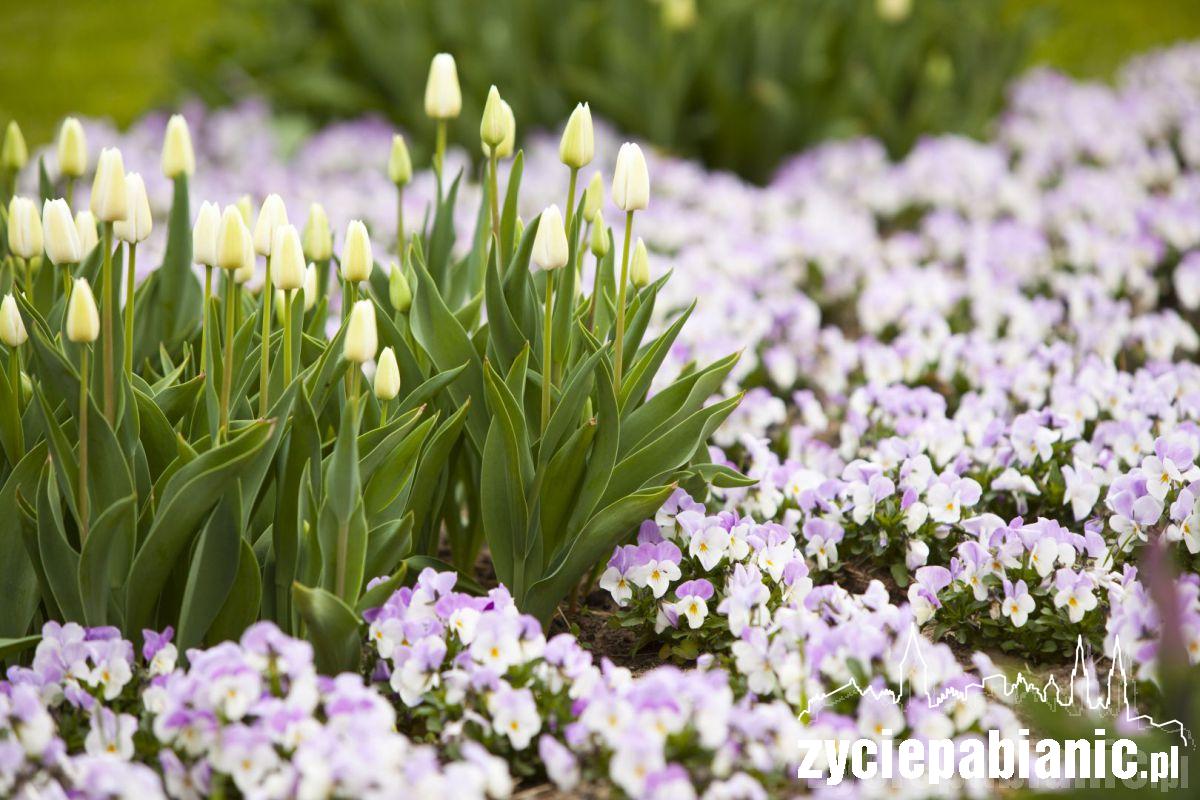 Zawitała do nas wiosna