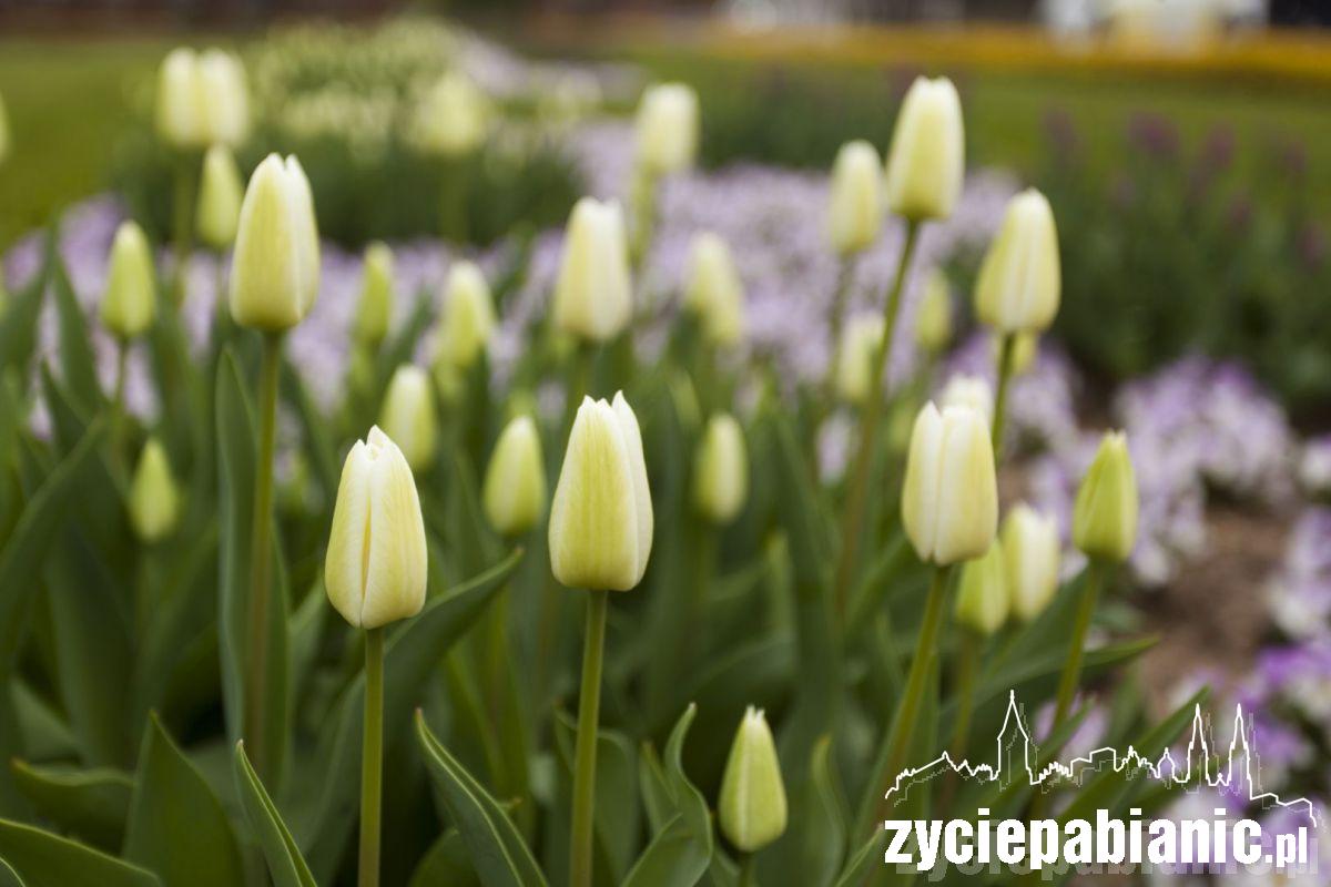 Zawitała do nas wiosna