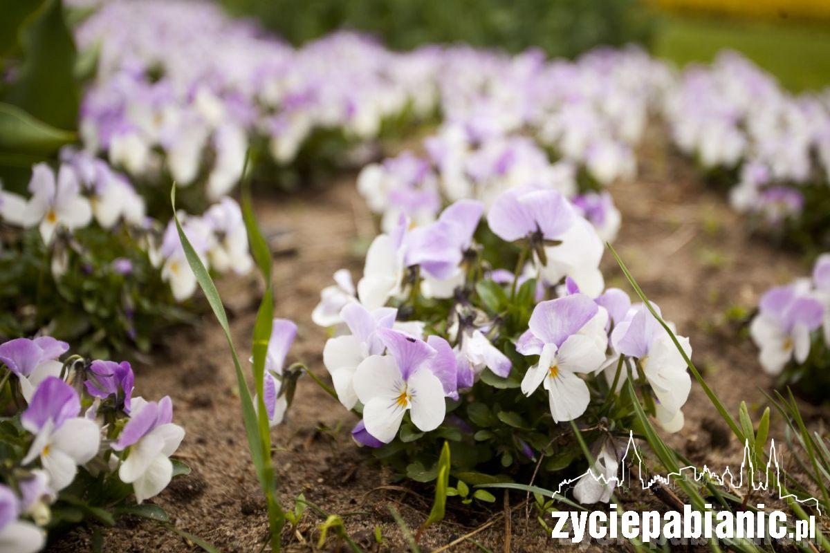 Zawitała do nas wiosna