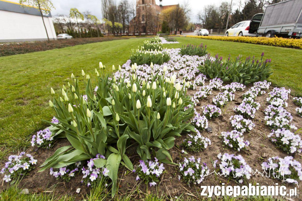 Zawitała do nas wiosna