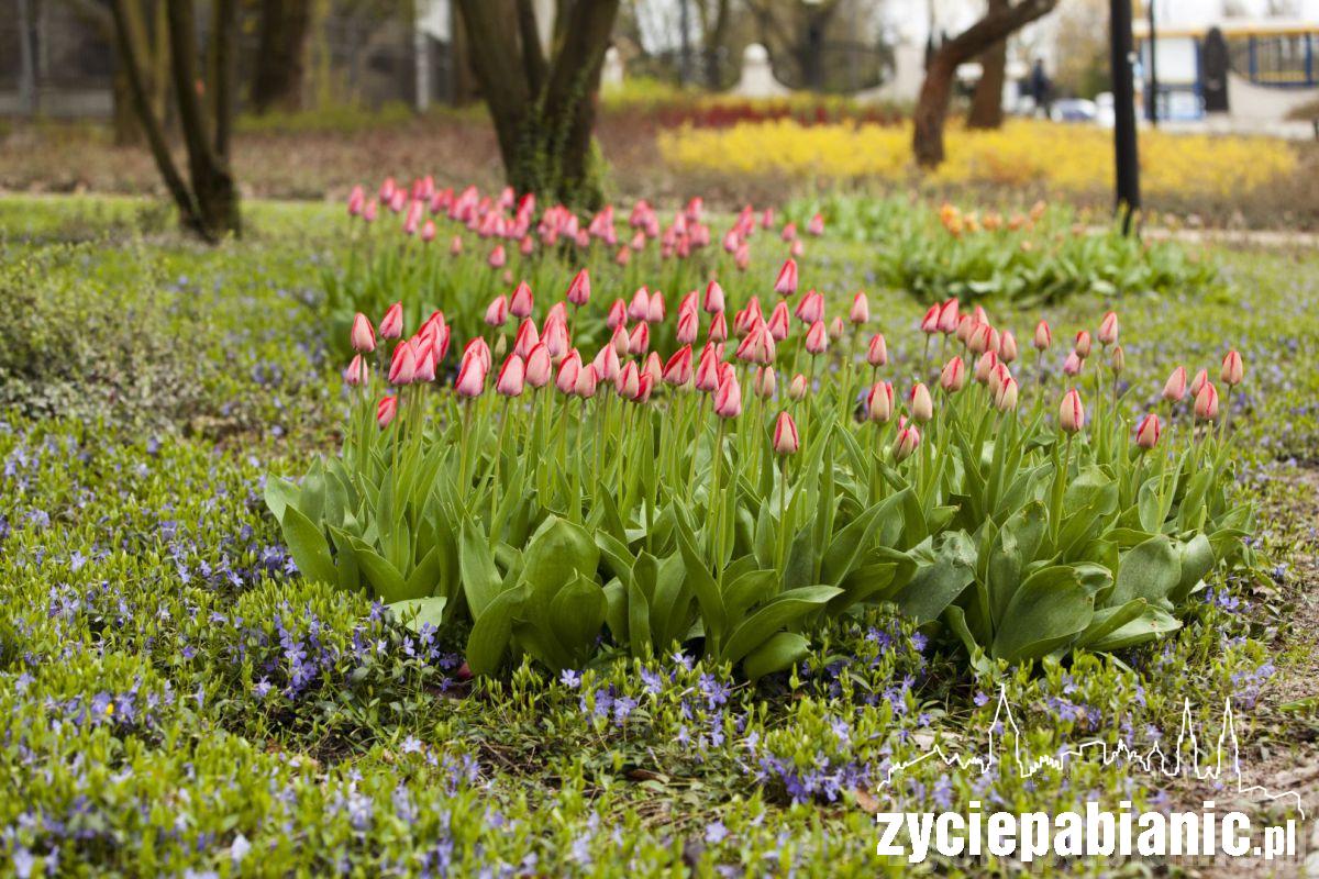 Zawitała do nas wiosna