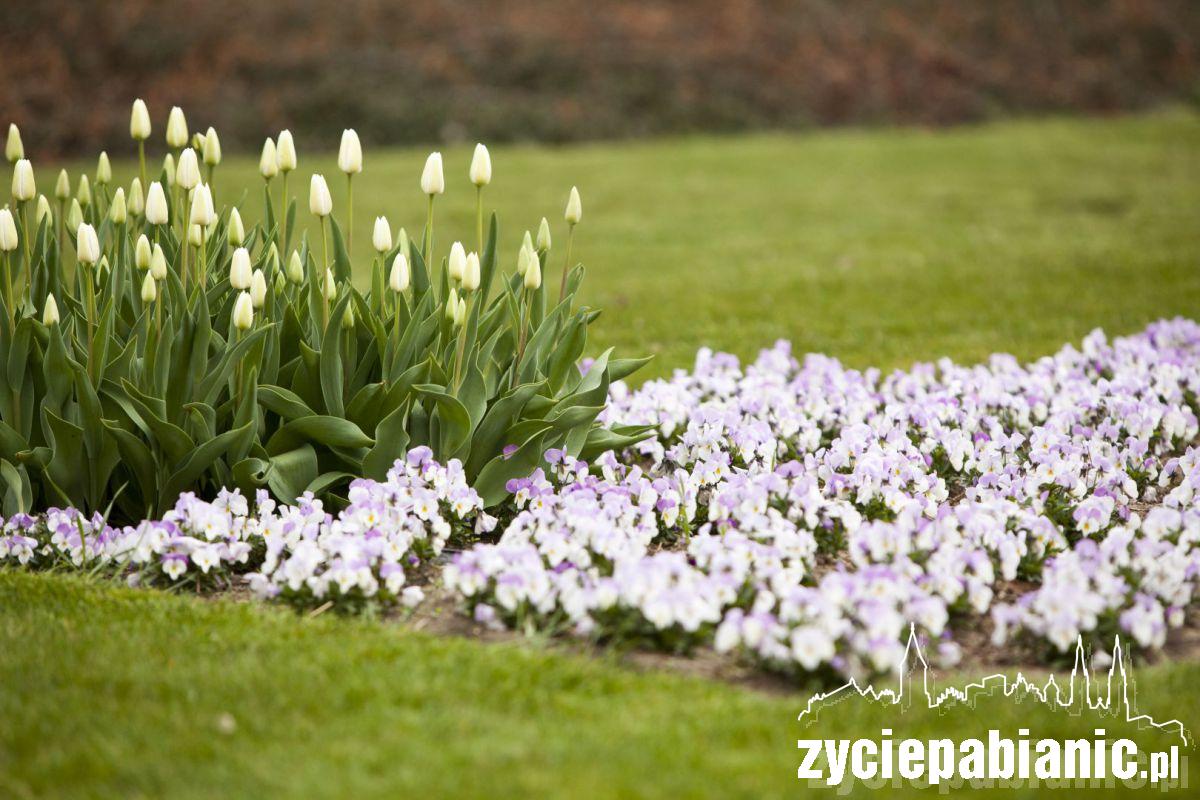 Zawitała do nas wiosna