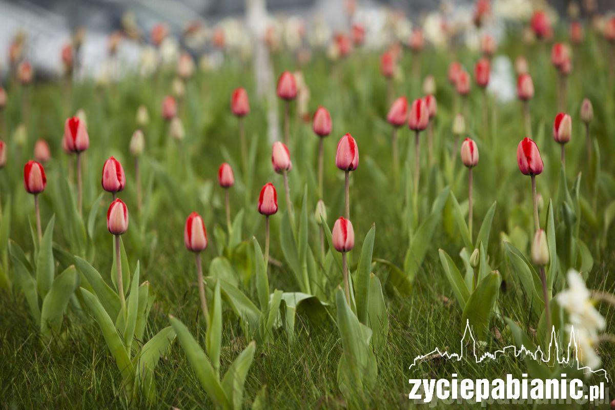 Zawitała do nas wiosna