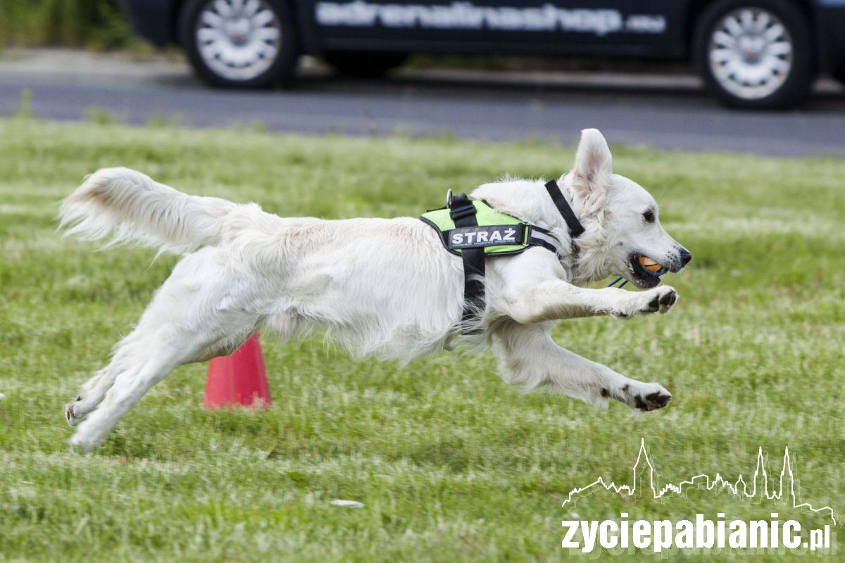 Tak było w zeszłym roku