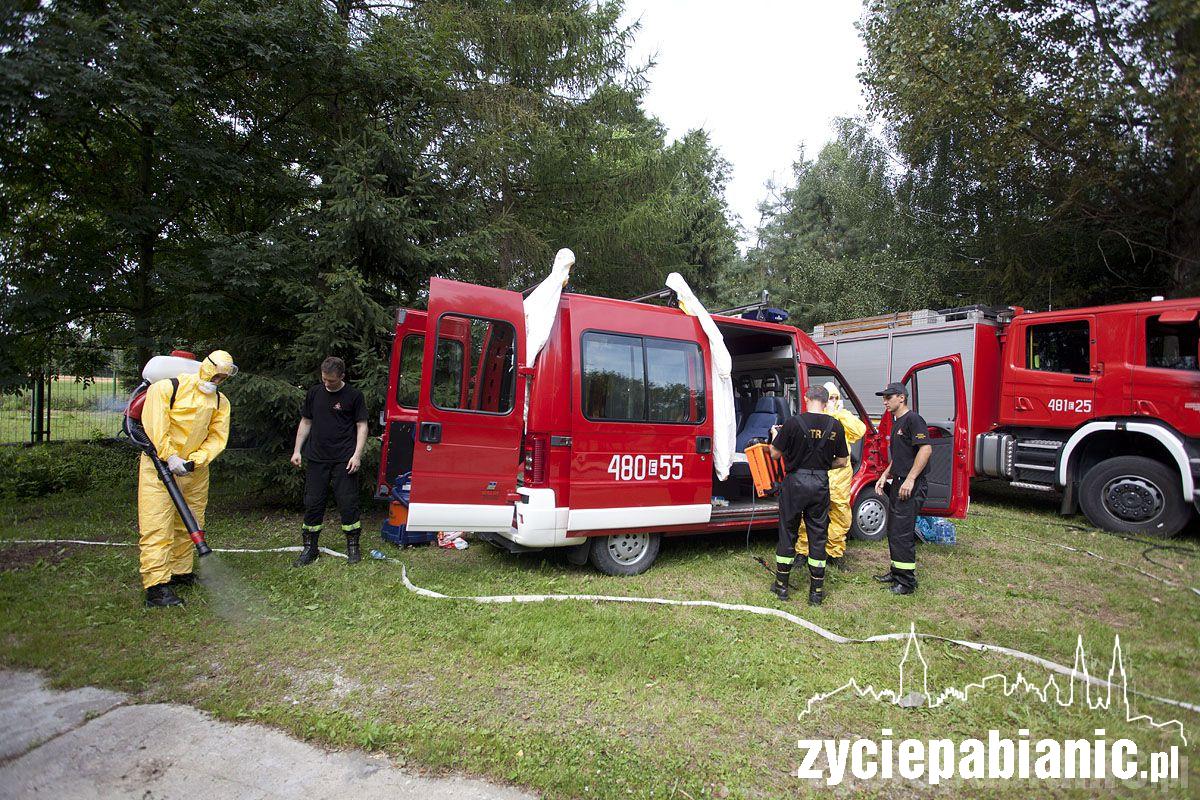 Ptasia grypa zaatakowała