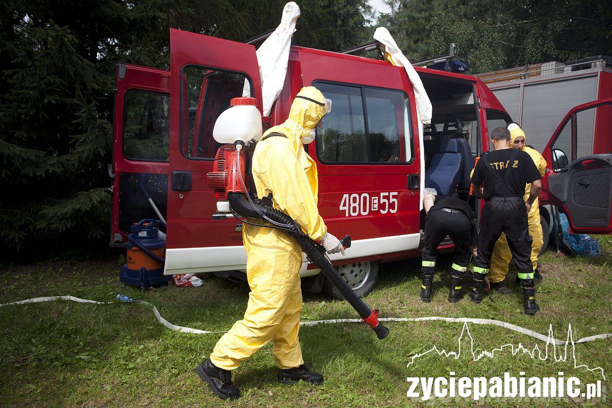 Ptasia grypa zaatakowała