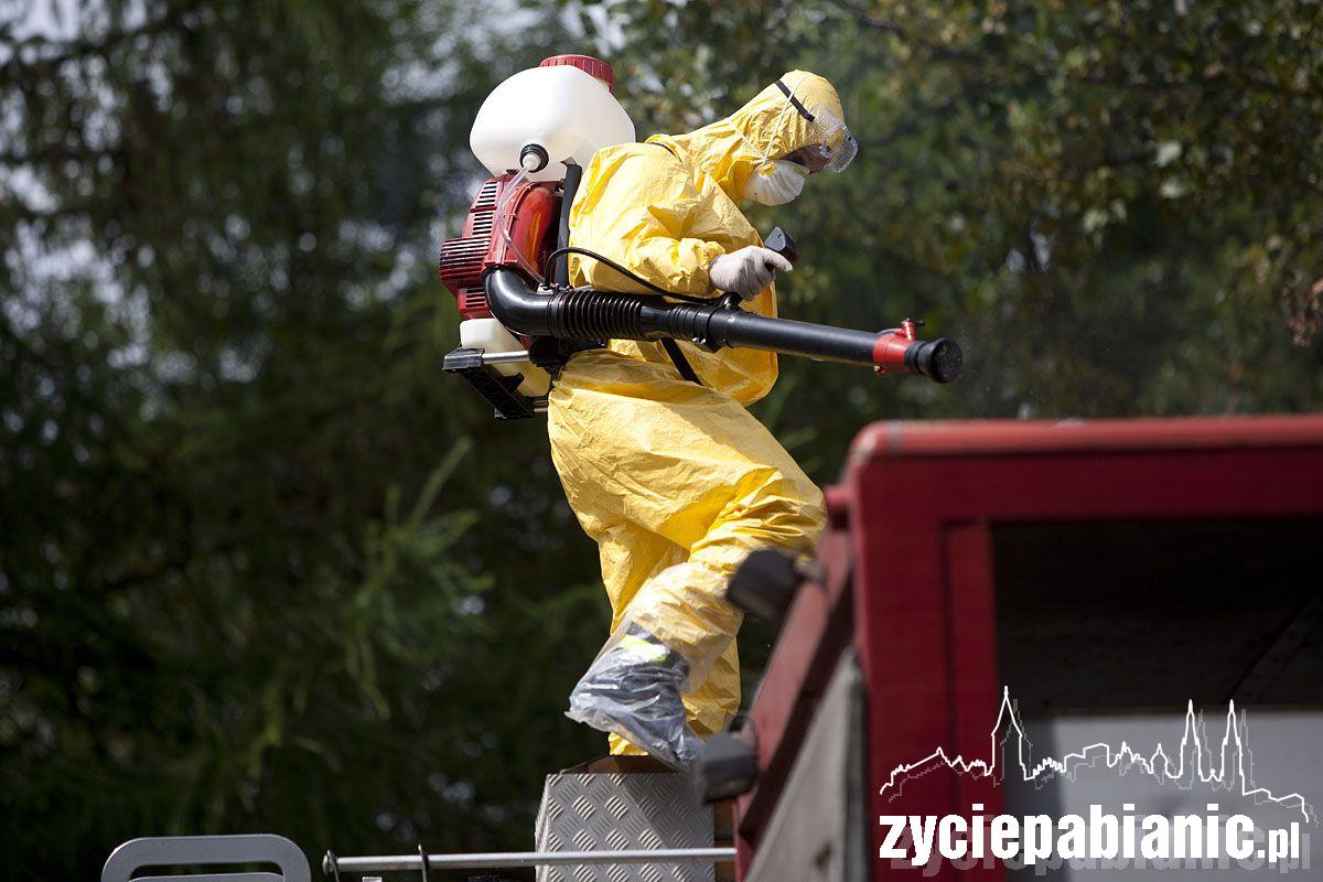 Ptasia grypa zaatakowała