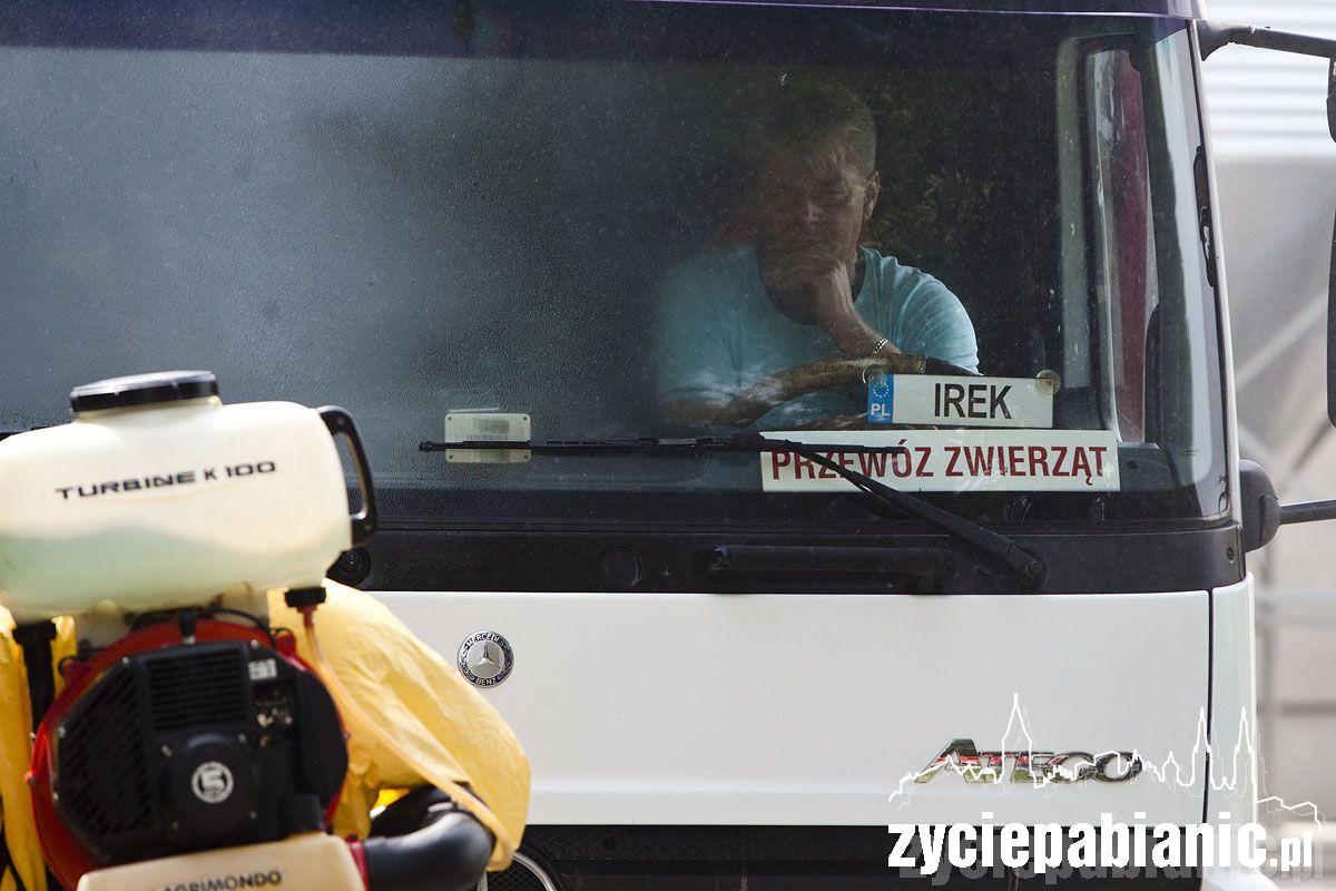 Ptasia grypa zaatakowała
