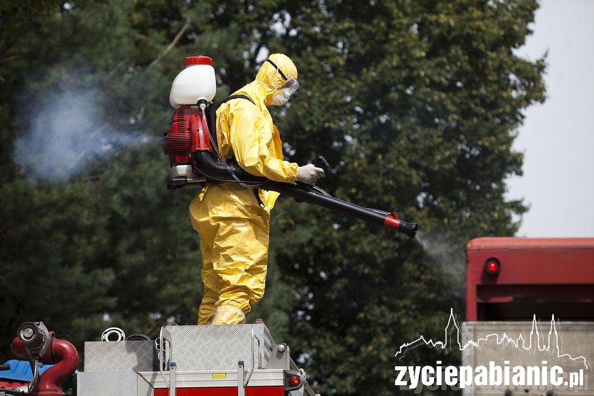 Ptasia grypa zaatakowała