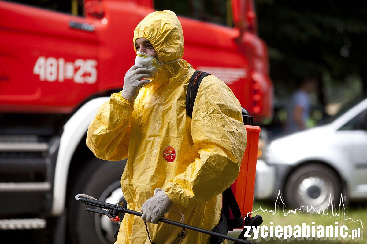 Ptasia grypa zaatakowała