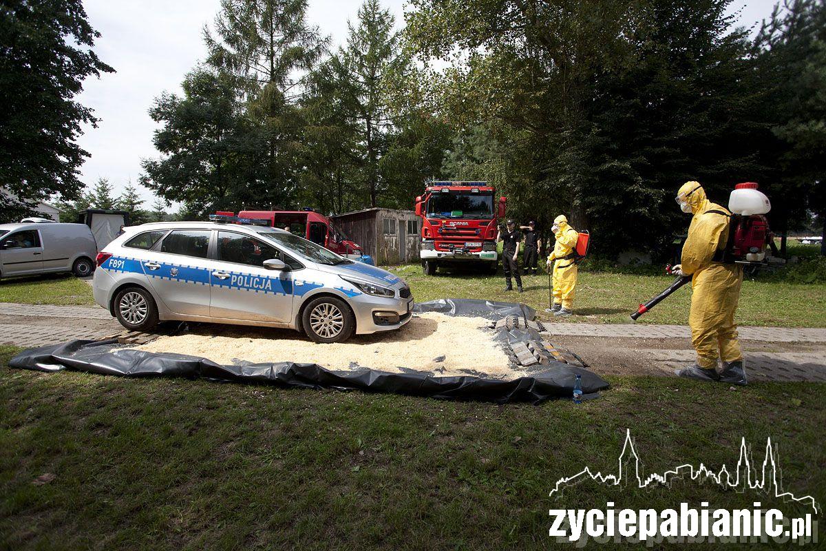 Ptasia grypa zaatakowała