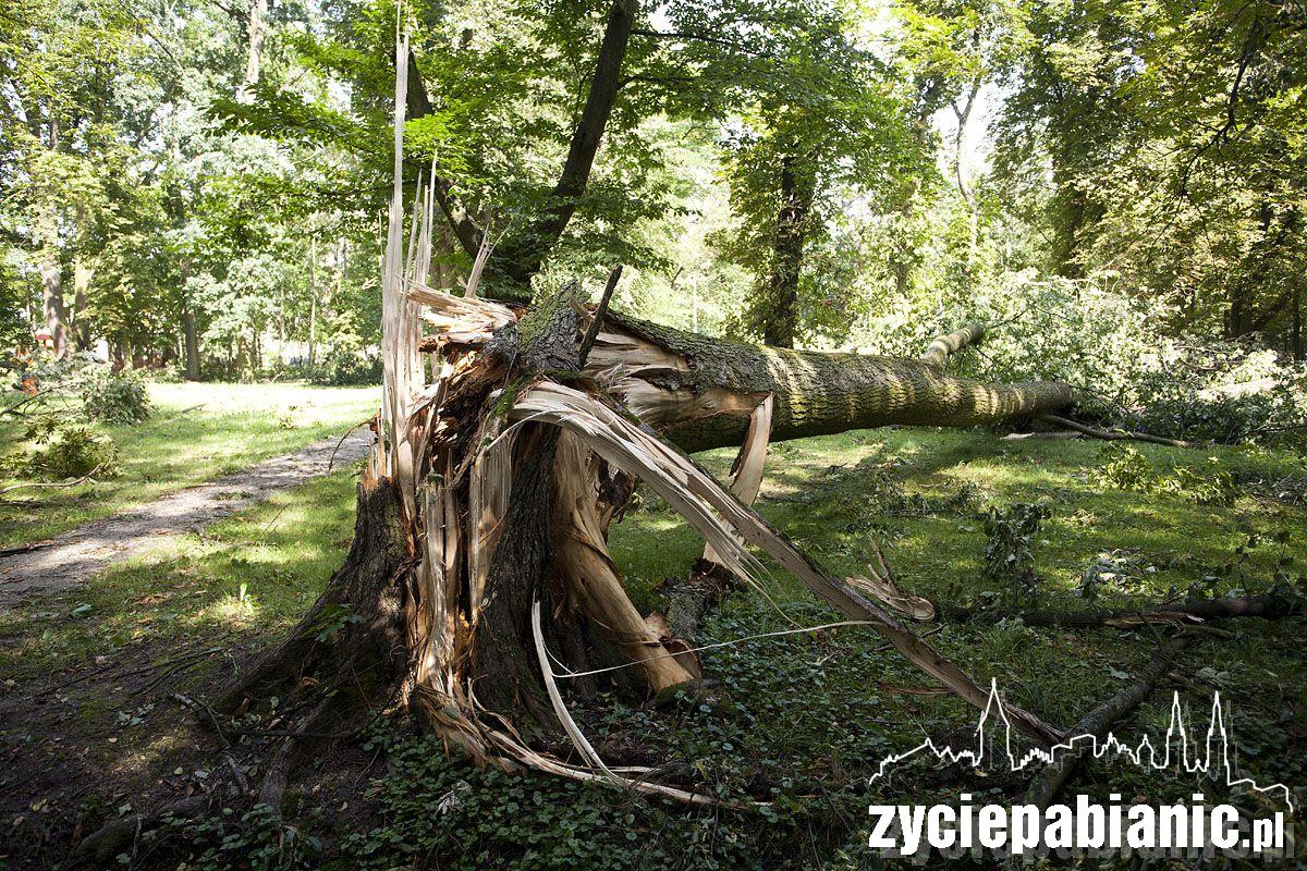 Zniszczenia po burzy w gminie Dobroń