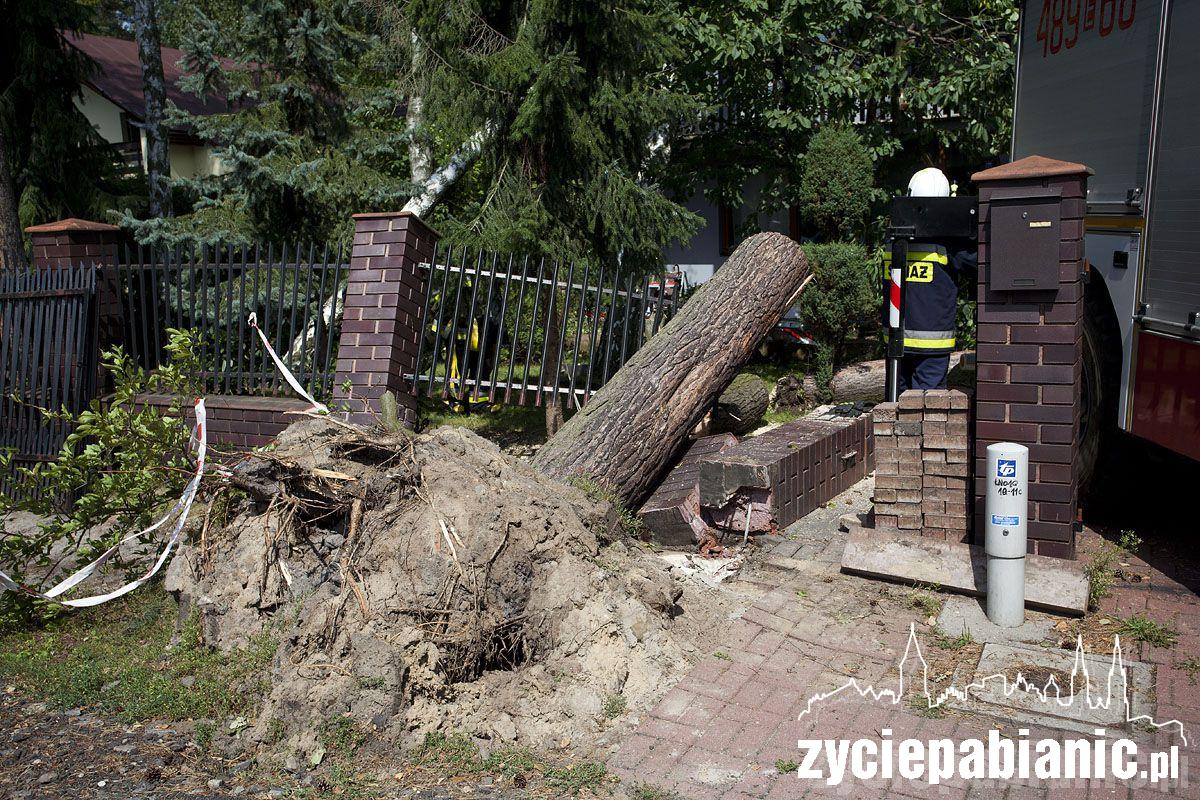 Zniszczenia po burzy w gminie Dobroń