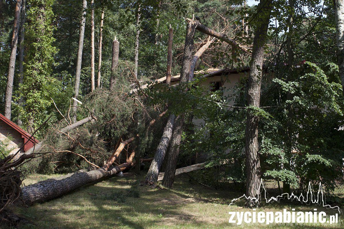 Zniszczenia po burzy w gminie Dobroń