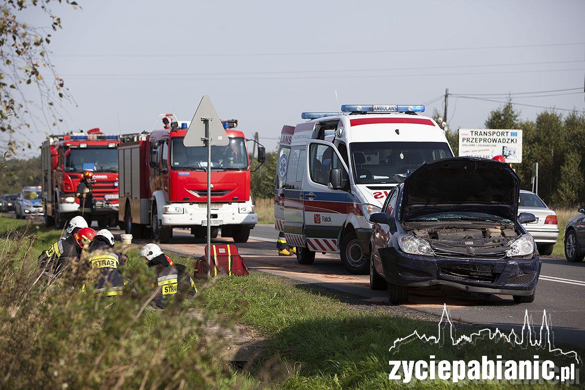 Wypadek w Budach Dłutowskich