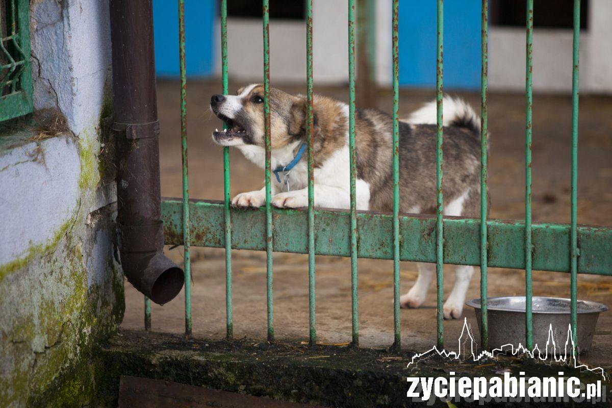 Czy te oczy mogą kłamać?