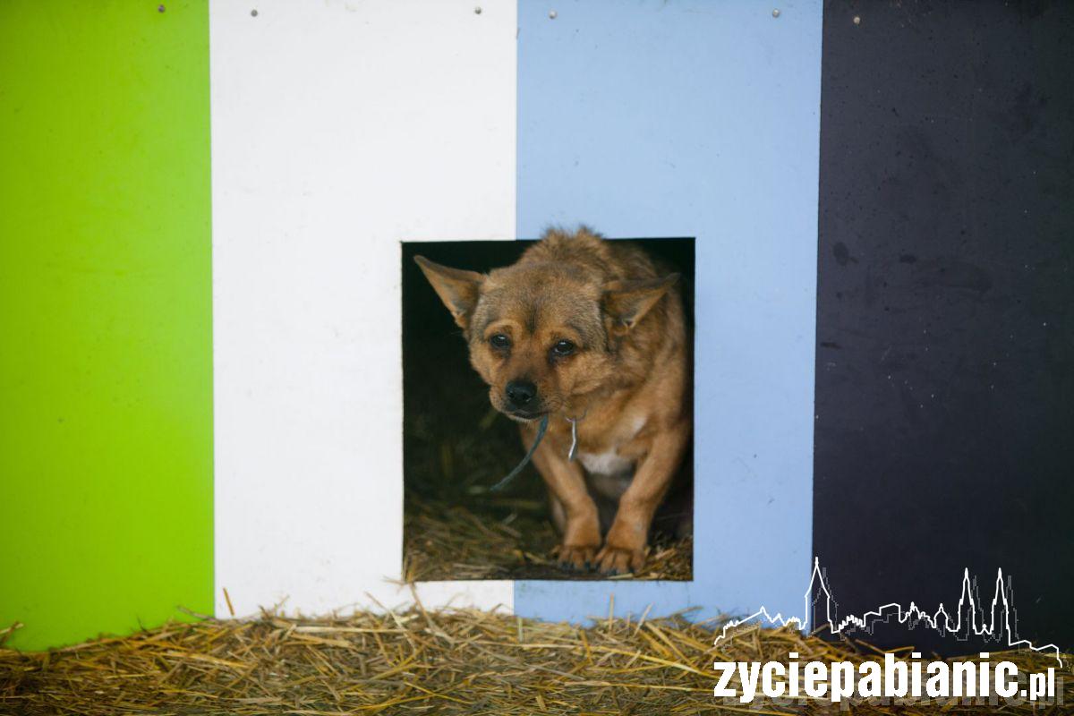 Czy te oczy mogą kłamać?